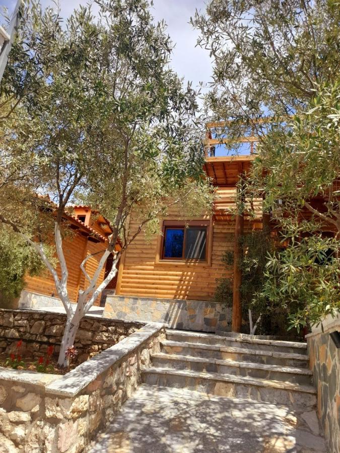 Skenderi * Sarande